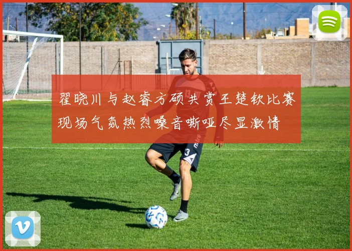 翟晓川与赵睿方硕共赏王楚钦比赛现场气氛热烈嗓音嘶哑尽显激情