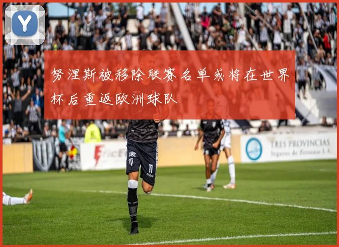 努涅斯被移除联赛名单或将在世界杯后重返欧洲球队